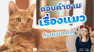 ตอบคำถามเรื่องแมวกับหมอศศิ 27 พย 64