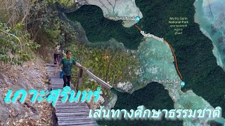 เส้นทางศึกษาธรรมชาติ อ่าวช่องขาด-หาดไม้งาม เกาะสุรินทร์2020 ep11