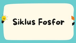 Siklus Fosfor | Siklus Biogeokimia | Ekologi