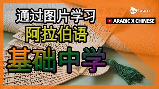 通过图片学习阿拉伯语|阿拉伯语词汇基础中学 | Golearn