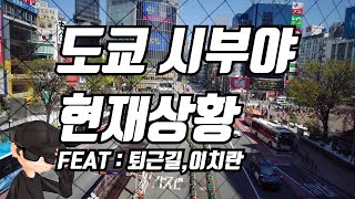 [동경프로라이프]도쿄 시부야 현재상황(Feat:퇴근길,이치란)