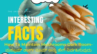 How To Maintain Mushrooms Dark Room- ಮಶ್ರೂಮ್ ಡಾರ್ಕ್ ರೂಮ್ ಅನ್ನು ಹೇಗೆ ನಿರ್ವಹಿಸುವುದು#farming #mushroom