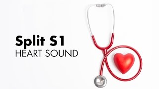 Split S1 - Heart Sounds - MEDZCOOL