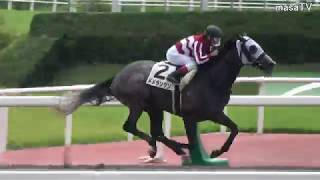 【４Ｋ現地撮影】２０１９年６月２９日中京競馬２Ｒメメランタン＆Ｍ．デムーロ騎手３着