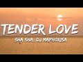 Sha Sha, DJ Maphorisa, Kabza De Small - Tender Love (Lyrics)