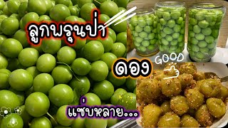 ลูกพรุนป่าดอง กรอบๆ เปรี้ยวๆ/กินกับแจ่วน้ำพริก แซบสุดยอด 😋