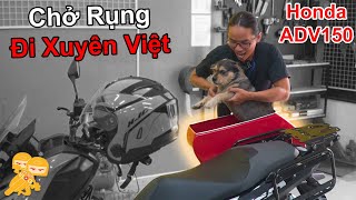 Dự Án Mới - ĐỘ THÙNG Chở Thú Cưng Đi Phượt Xuyên Việt - Xe Ôm Vlog