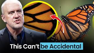 Metamorphosis Is More Insane Than You Think