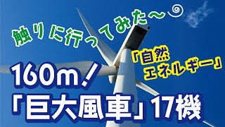 巨大すぎる「風車」と自然再生エネルギーのいまを触り、いろいろミライを考えてみた〜＠「石廊崎風力発電所」南伊豆・自給の森®×水神温泉®×森林道楽® No 043