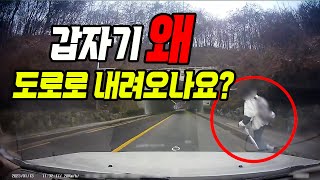 18214회. 갑자기 도로로 내려온 보행자를 어떻게 피할 수 있을까요?