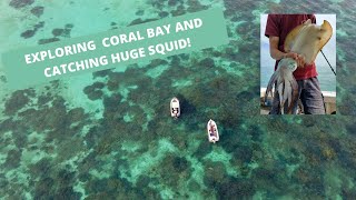 Exploring and fishing Coral Bay, West Australia! Catching HUGE squid, diving and camping!