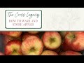 How to Wash and Store Apples