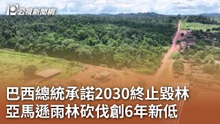 巴西總統承諾2030終止毀林 亞馬遜雨林砍伐創6年新低｜20230804 公視中晝新聞