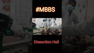 MBBS Life | Dissection Hall❤️