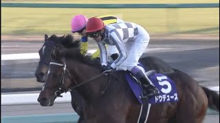 ドウデュース　レース集まとめ