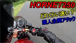 【小心者】ホーネット250はこんなバイクです！！【サーキット】【全開 加速】