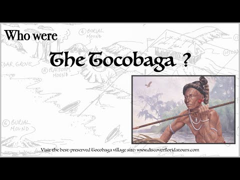 Did the Tocobaga Tribe fish?