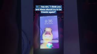 π£π± hey siri, βI think you and Alexa should try to be friends again!β