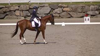 Colleen Loach \u0026 Vermont CCI 3L Dressage