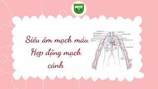 Bài 30: Siêu âm Hẹp động mạch cảnh - TS.BS Đào Thị Thanh Bình - SATMM K2 - ĐHYK PNT