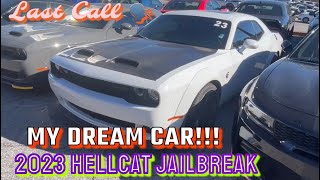I Had To Do It… This Hellcat Is Beautiful 😻