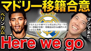 ベリンガム マドリーHere we goを見て興奮するレオザ！【レオザ切り抜き】