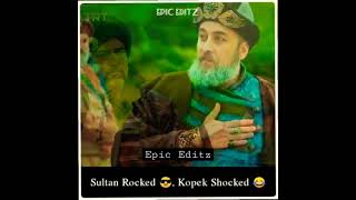 Sultan Rocked Kopek Shocked😂#shorts #ytshort #viralshorts