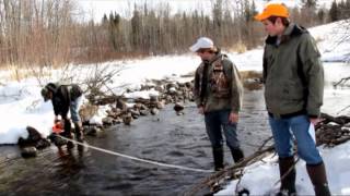 Flowtracker Measurement