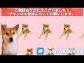 【柴犬】朝のストレッチから始まるおっとり女子のモーニングルーティン。