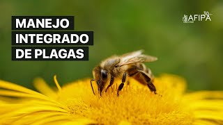 Conoce más sobre el manejo sustentable de plagas.