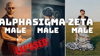 What Type Of Male Are You (Sigma, Beta, Alpha, Zeta, Delta...) EXPLAINED