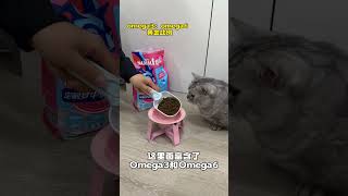 【#布丁仔和泡芙妹的一天】我家猫这辈子都没想到,要背这么大口锅!#素力高一梳到底不掉毛  #好物畅买不打烊 #美毛猫粮