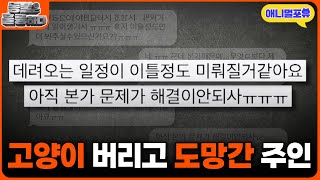 그깟 고양이 굶어 죽든 말든 버리고 도망간 집사 I KBS 동물은 훌륭하다 250210 방송