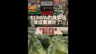 $1.99/磅的蔬菜已变成震撼价了|#013|220210