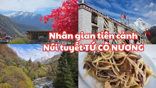 Trung Hoa, Tứ Xuyên #14: Nhân gian tiên cảnh NÚI TUYẾT TỨ CÔ NƯƠNG, Bò xào khoai tây LẠ NGON