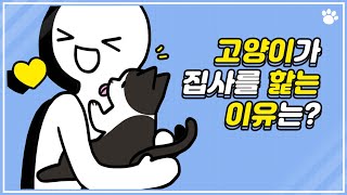 고양이가 집사 손가락을 핥아주는 이유