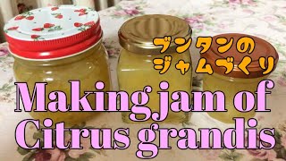 【How to make jam of Citrus maxima🍊】ブンタンのジャム作り