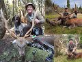 Archery sika stag hunt New Zealand