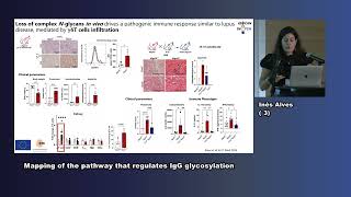 Dr Inês Alves - GlycanSwitch as a key mechanism inthe loss of self-tolerance