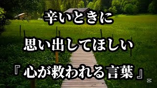 辛いときに思い出してほしい『心が救われる言葉』#名言 #名言集 #心に響く言葉