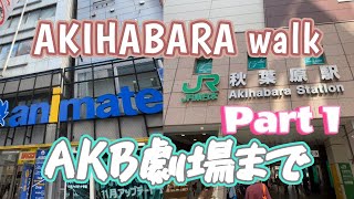 【東京観光】ヲタクの聖地秋葉原！電気街口からAKB劇場の入っているドン・キホーテまでを歩く