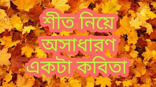 শীতের একটা অসাধারণ কবিতা।শীতের পিঠা কবিতা ।kobita...Sabrina Tanzin Jesi,,