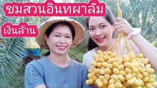 เกษตรบ้านนา​ ep6 พาชมสวนอินทผาลัมเงินล้าน by อีสานรีวิว