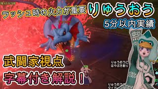 りゅうおう　武闘家視点　字幕付き解説！　5分以内に倒す為に気を付けてることは！？【ドラクエ10】動画の最後に装備のせてます