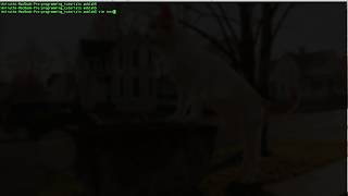 Enable mouse in Vim editor