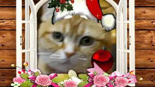 ねこさん達のクリスマス　　メニカムで加工