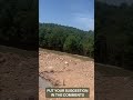 freedom field update at turpentine creek wildlife refuge 06 29 2023 part 1