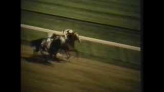 1962 Travers Stakes - Jaipur -vs- Ridan