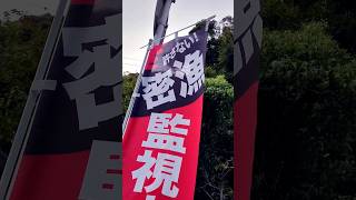 🥵😰ヤバい‼️密漁監視中‼️千葉県勝浦市🌷逮捕されると罰金が、すごいです😭。サザエ🍀イセエビ🦐カキ🌸ウニ🌷ワカメ