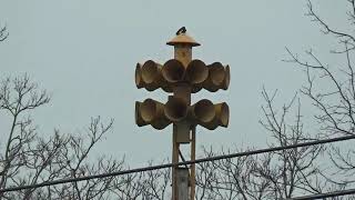 Federal Signal 2T22 | 3 Cycles of Attack | Germantown (Bracken Co.), KY